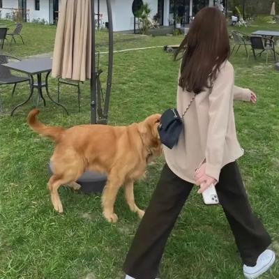 特别小组