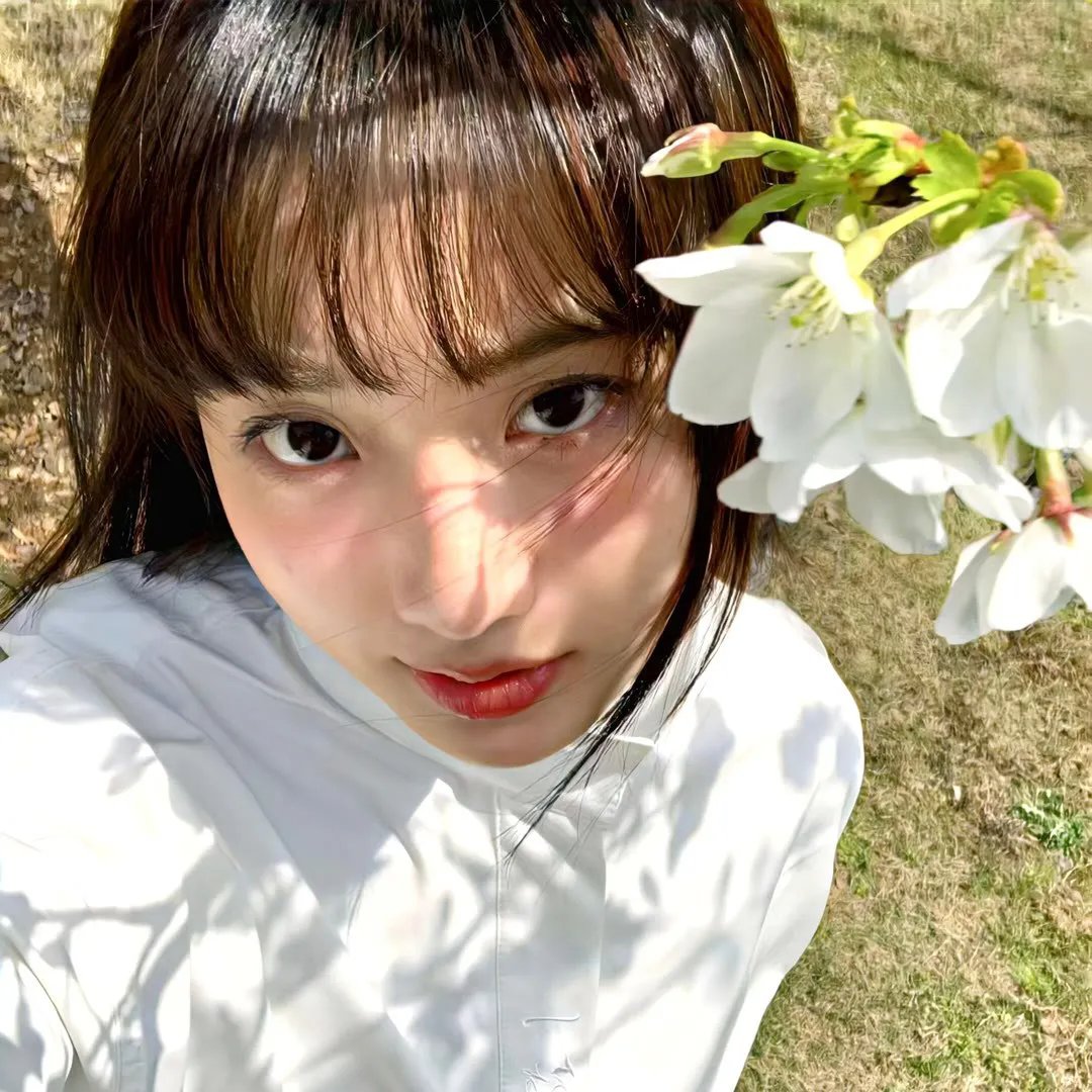 情挑六月花